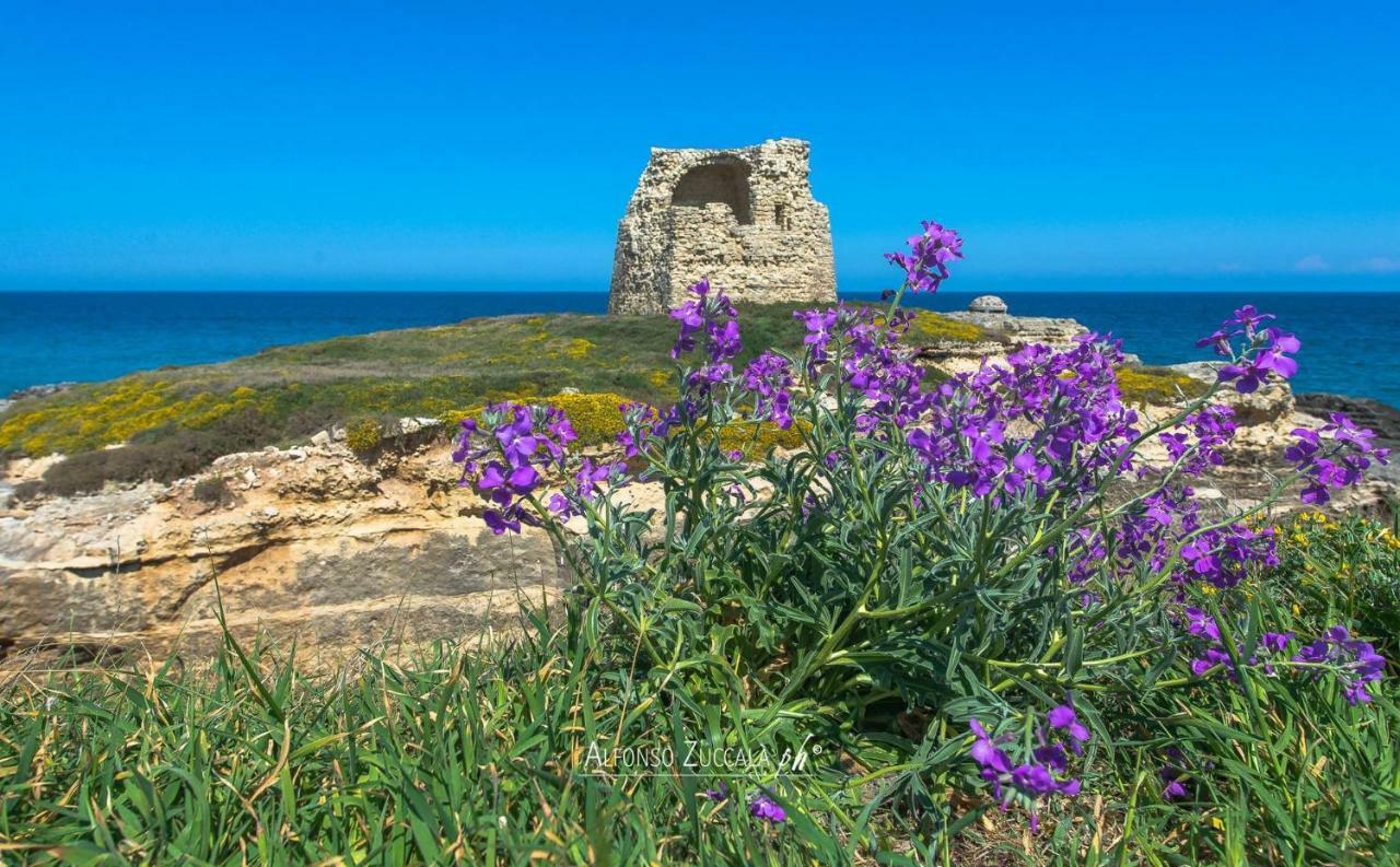 Villetta Cati - Casa Vacanze Con Giardino E Posto Auto A San Foca - Lecce - Salento Extérieur photo